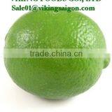 FROZEN SEEDLESS LIME _ HIGHT QUALITY _ GOOD PRICE thumbnail-4