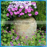Creative Designer Plant Pots thumbnail-1