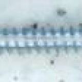 Pan Head Self Tapping Screw White Zinc Plated in Best-selling thumbnail-5