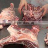 New Zealand Lamb thumbnail-2