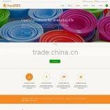 Website Design