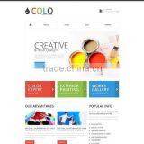 Ecommerce Website Design