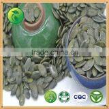 GWS Pumpkin Kernels Hybrid Chilli Seeds thumbnail-1