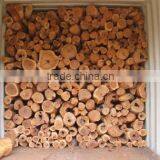 AAA GRADE SANDALWOOD AUSTRALIA thumbnail-1