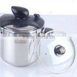 Induction Stove Pressure Cooker