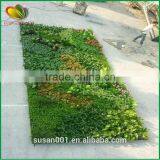 Good Quality Artificial Green Wall Plants for Sale thumbnail-5
