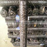 Pvc Coated Galavanized Chicken Wire Mesh (factory) thumbnail-3