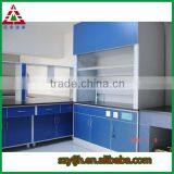 Steel Fume Hood / Fume Cupboard /lab Instrument thumbnail-3