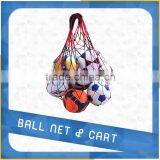 Ball carrying net