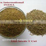 Anthem Graveolens Seeds TBC / Exporter of Anthem Graveolens / Dill Seeds / Suwa