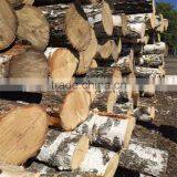 White Birch Korean Pine Larch thumbnail-1