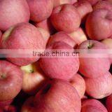 Delicious Fuji Apple thumbnail-1