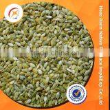 Pumpkin Seed Kernels In Pumpkin Kernels thumbnail-1