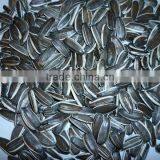 Good Quality Sunflower Seeds20/64,22/64,24/64 thumbnail-1