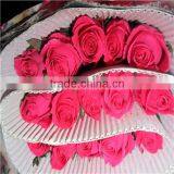 Competitive Price Fresh Black Rose Flower Purchase From Kunming Flower Planting Base thumbnail-2