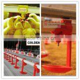 Nipple Cup thumbnail-1