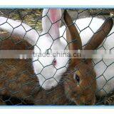 PVC Coated Hexagonal Wire Mesh/Plastic Coated Hexagonal Wire Mesh Made in China thumbnail-2