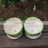 Attractive Cabbage Shape Ceramic Small Decorative Planters thumbnail-5