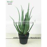 SAS201607 Artificial Green Plant for Indoor Decoration thumbnail-5