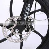 New Design 20 Inch Folding Electric Bike One-piece Wheel Electric Bike thumbnail-5