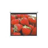 Sell Projection Screen (United Arab Emirates) thumbnail-1