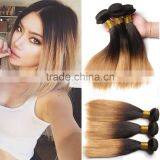 Top Quality unprocessed Virgin Human Hair Bundles 1b/27 Ombre Chinese Straight Hair