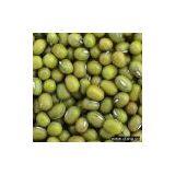 Sell Green Mung Bean thumbnail-1