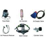 5L 30MPa Compressed Air Breathing Apparatus thumbnail-2