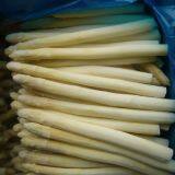Frozen White Asparagus Cuts and Tips thumbnail-3