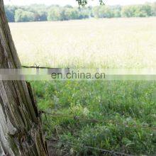 Wire Philippines Barbed Wire Galvaized Barbed Iron Length Per Kg Single Razor, Cross Razor Coil SINO ERLI 12-65mm ISO9001 BTO-22 thumbnail-2