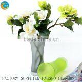 Popular High Quality Clear Glass Vase Bubble Glass Bottle Vases Flower