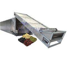 Fast Drying Tunnel Mesh Belt Automatic Food Drying Processing Line thumbnail-1