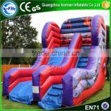 Clearance Commercial Grade Inflatable Water Slides,Superhero Water Slide Inflatable Slide Giant Supplier's Choice thumbnail-1