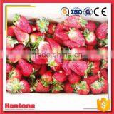 Frozen Diced Strawberry Slices thumbnail-2