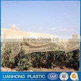 Cheap Hdpe Hail Protection Mesh,orchard Anti Hail Mesh Quality Choice