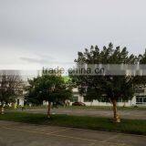 SHOWER DOOR TRIPLE thumbnail-3