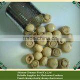 Canned Mushroom Champignon thumbnail-1