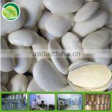 Phaseoline 1% Organic White Kidney Bean Protein Powder thumbnail-1