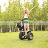 1000watt Battery Electric Scooter With Pedal