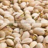 pistachio nuts