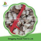 Chinese High Quality Frozen Shiitake And Law Price Hot Selling thumbnail-3