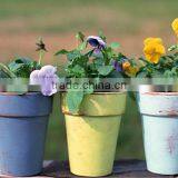 Horticultural Grade Diatomaceous Earth Potting Soil and Hydroponic Growing Medium thumbnail-3