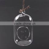 Hanging Micro Landscape Ecological Meaty Plant Glass Vase thumbnail-3