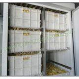 Automatic Bean Sprouting Machine thumbnail-3
