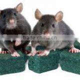 Advanced High-efficiency Rat Bait Wax Block Press Machine in China thumbnail-5