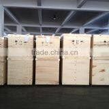 Bluestone Pulse Vacuum Class B Autoclave Dental Precio thumbnail-6