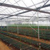 Ecnomic Multi Span Greenhouse With UV Film Covering thumbnail-2