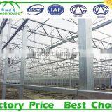 Commercial Metalic Greenhouse thumbnail-5