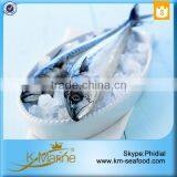 Frozen Seafood Horse Mackerel Fish Sale thumbnail-2