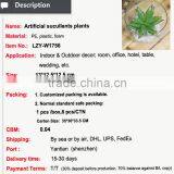 Mini Succulent Plants Bonsai High Quality Succullent Plants thumbnail-2